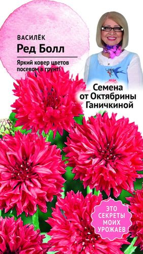 Семена Василька Октябрина Ганичкина Ред болл 0,2 г, вид