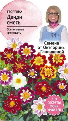 Семена Георгины Октябрина Ганичкина Денди смесь 0,2 г, детальное фото