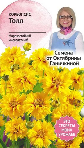 Семена Кореопсиса Октябрина Ганичкина Толл 0,1 г, изображение