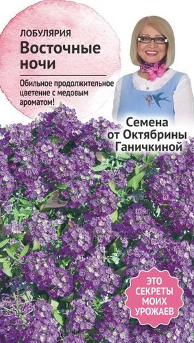 Семена Лобулярии Октябрина Ганичкина Восточные ночи 0,1 г, крупный план