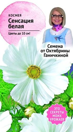Семена Космея Сенсация белая 0,3 г Семена от Октябрины Ганичкиной, фото