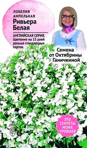 Семена Лобелии Октябрина Ганичкина Ривьера белая 10 шт, крупный план