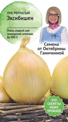 Семена Лук Эксибишен 0,15 г Семена от Октябрины Ганичкиной, фото