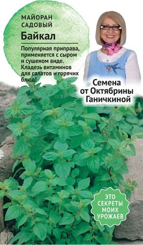 Семена Майорана Октябрина Ганичкина Байкал 0,1 г, вид