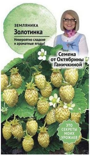 Семена Земляники Октябрина Ганичкина Золотинка 0,04 г, картинка