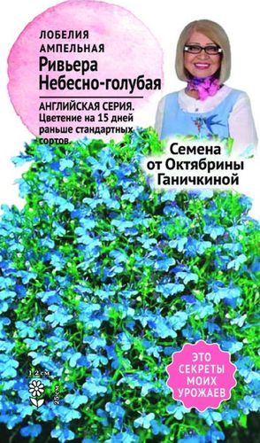 Семена Лобелии Октябрина Ганичкина Ривьера Небесно-голубая 10 шт, вид