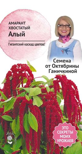 Семена Амаранта Хвостатый алый 0,25 г, фото