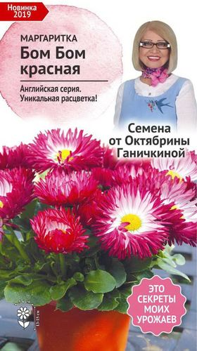 Семена Маргаритки Октябрина Ганичкина Бом Бом 2 г, картинка