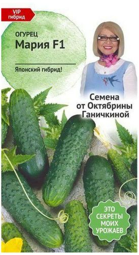 Семена Огурца Октябрина Ганичкина Мария F1 7 шт, крупный план