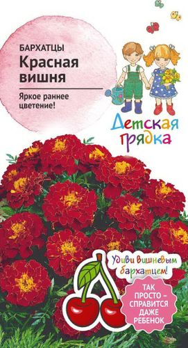 Семена Бархатца Октябрина Ганичкина Красная вишня 10 шт, вид