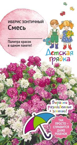 Семена Иберис Зонтичный смесь ДГ 0,1 г, крупный план