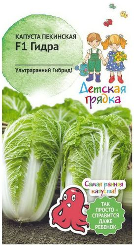 Семена Капусты АгоСидсТрейд Гидра F1 0,1 г, детальное фото