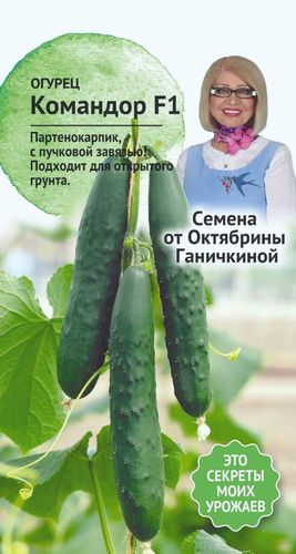 Семена ОГУРЕЦ КОМАНДОР  5ШТ, вид
