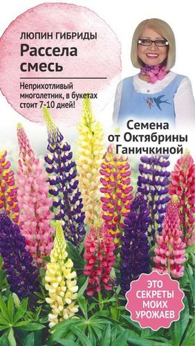 Семена Люпина Октябрина Ганичкина Гибриды Расселя 0,5 г, изображение