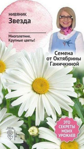 Семена Нивяника Октябрина Ганичкина Звезда 0,1 г, фото