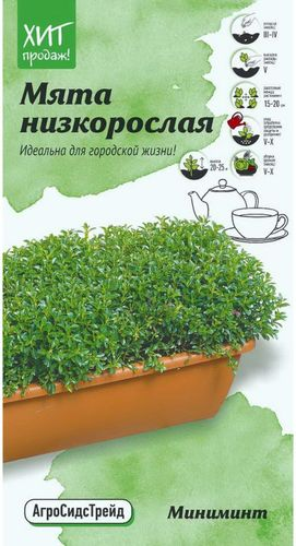 Семена Мяты АгроСидсТрейд Мини Минт 3 г, фотография