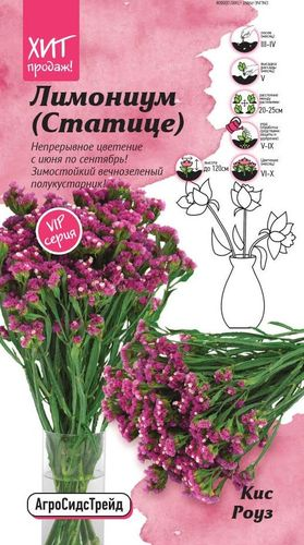 Лимониум (Статице) Кис Роуз 10 шт АСТ, вид