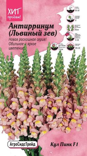 Антирринум Кул Пинк 10 шт АСТ, изображение