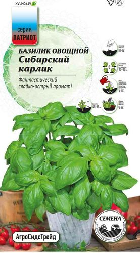 Семена Патриот Базилик Сибирский карлик, 0.25г, крупный план
