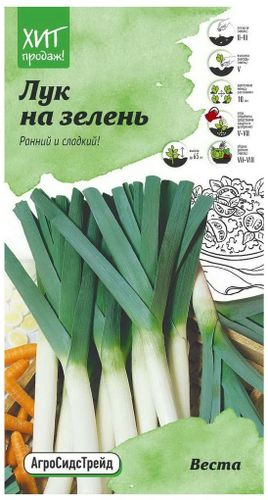 Семена Лука Детская грядка Веста 0,5 г, крупный план