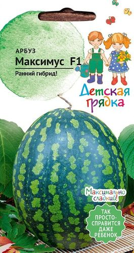 Семена Арбуза Максимус ДГ 5 шт, изображение