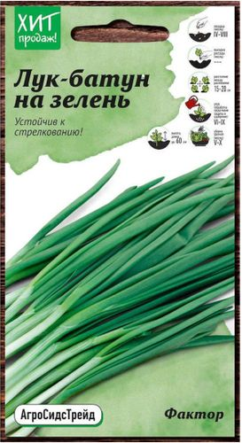 Семена Лука-батуна АгроСидсТрейд Фактор 0,15 г, фотография