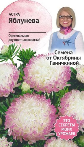 Семена Астры Октябрина Ганичкина Яблунева 0,3 г, вид