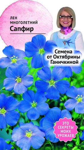 Семена Льна Октябрина Ганичкина Сапфир 10 шт, крупный план