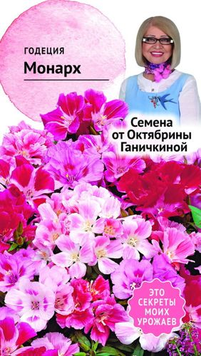 Семена Годеции Октябрина Ганичкина Монарх 0,25 г, вид