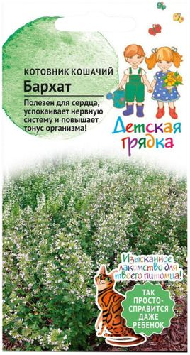 Семена Котовника кошачьего АгроСидсТрейд Детская грядка Бархат 0,1 г, фото