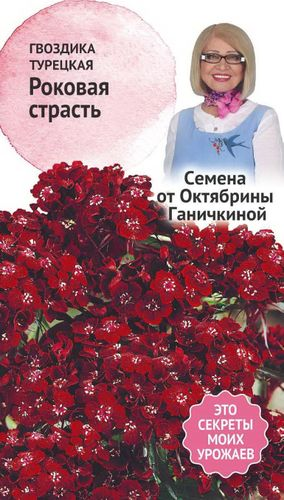 Семена Гвоздики турецкой Октябрина Ганичкина Роковая страсть 0,05 г, фото