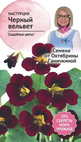 Семена Настурции Октябрина Ганичкина Черный вельвет 1 г, детальное фото
