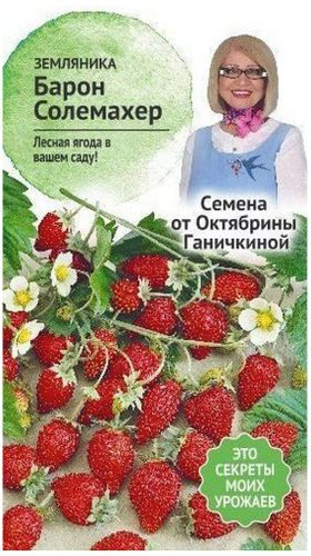 Семена Земляники Октябрина Ганичкина Барон Солемахер 0,04 г, крупный план