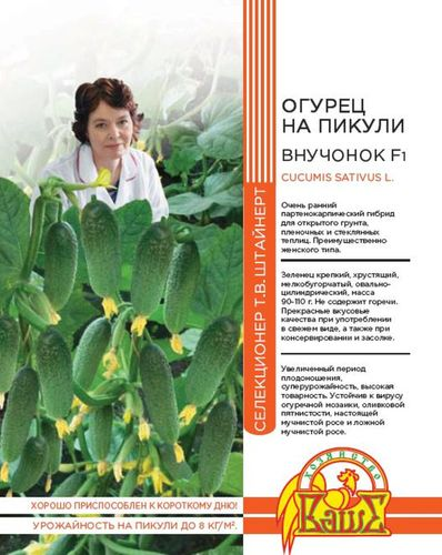 Семена ОГУРЕЦ НА ПИКУЛИ ВНУЧОК F1 10 ШТ ШТАЙНЕРТ, детальное фото