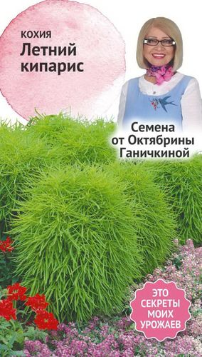 Семена Кохии Октябрина Ганичкина Big Top Летний кипарис 0,5 г, картинка