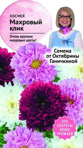 Семена космея Октябрина Ганичкина Big Top Махровый клик 0,1 г, крупный план