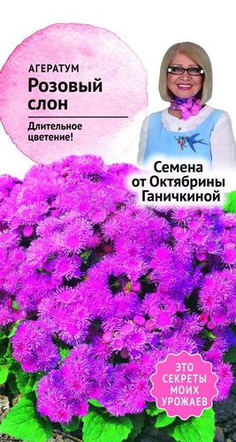 Семена Агератума Розовый слон 0,05 г, вид