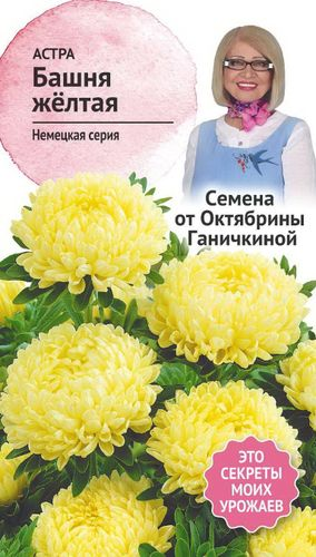 Семена Астры Октябрина Ганичкина Башня желтая 0,3 г, вид