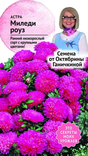 Семена Астры Октябрина Ганичкина Миледи роуз 0,2 г, детальное фото