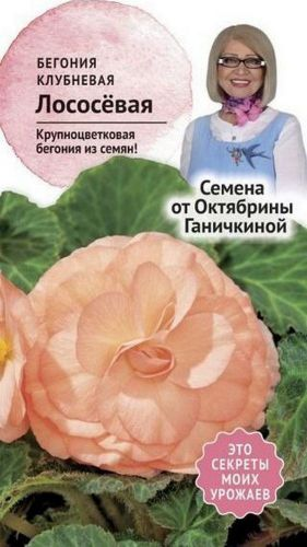 Семена Бегонии клубневой Октябрина Ганичкина лососевая 6 шт, вид