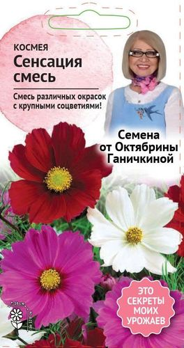 Космея Сенсация смесь 0,3 г, фото