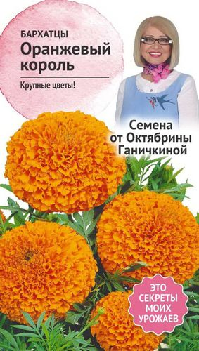 Семена Бархатца Октябрина Ганичкина Оранжевый король 0,5 г, фото