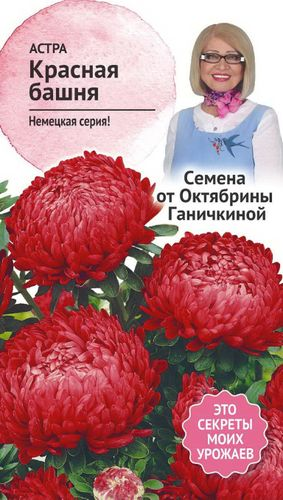 Семена Астры Октябрина Ганичкина Красная башня 0,3 г, картинка