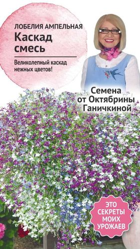 Семена Лобелия ампельная Каскад смесь 0,1 г Семена от Октябрины Ганичкиной, фото