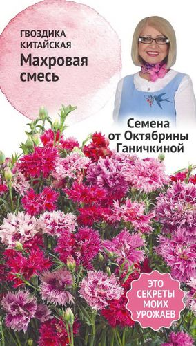 Семена Гвоздики китайской АгроСидсТрейд Махровая смесь 0,2 г, крупный план