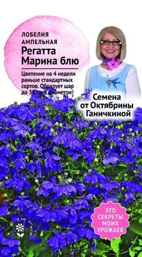 Семена Лобелия Регатта блю Марина Семена от Октябрины Ганичкиной 10 шт, изображение
