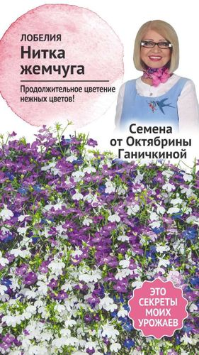 Семена Лобелия Нитка жемчуга 0,03 г Семена от Октябрины Ганичкиной, крупный план