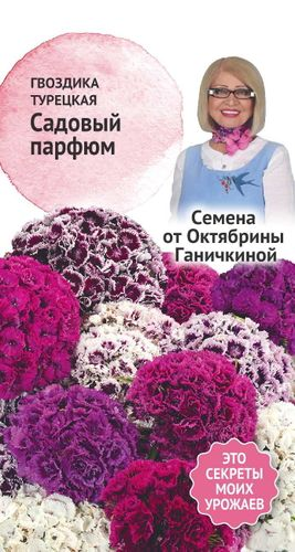 Семена Гвоздики садовой Парфюм 0,1 г, крупный план