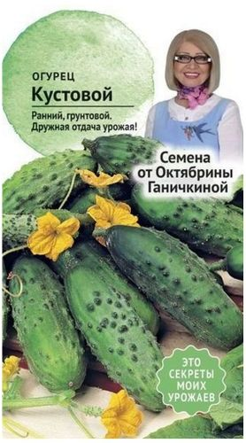 Семена Огурца Октябрина Ганичкина Кустовой 3 г, изображение