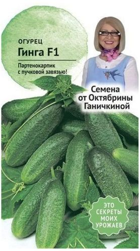 Семена Огурца Октябрина Ганичкина Гинга F1 10 шт, фотография